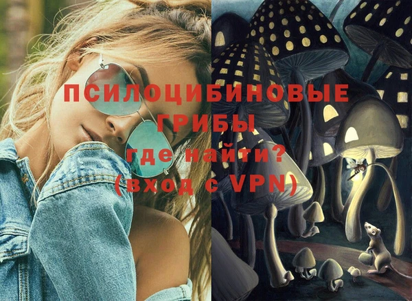 ALPHA PVP Осинники