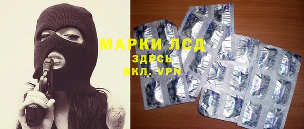 соль ск Болотное