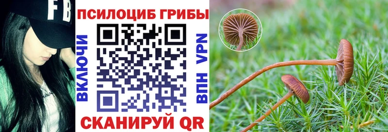 Псилоцибиновые грибы MAGIC MUSHROOMS  где продают   Спас-Клепики 